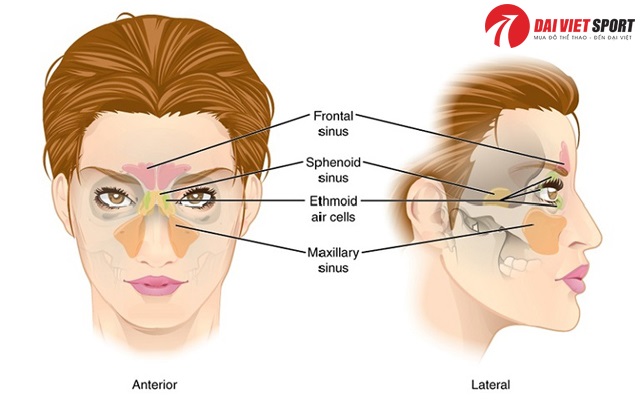 Giảm chứng ho khan bằng phương pháp cổ truyền
