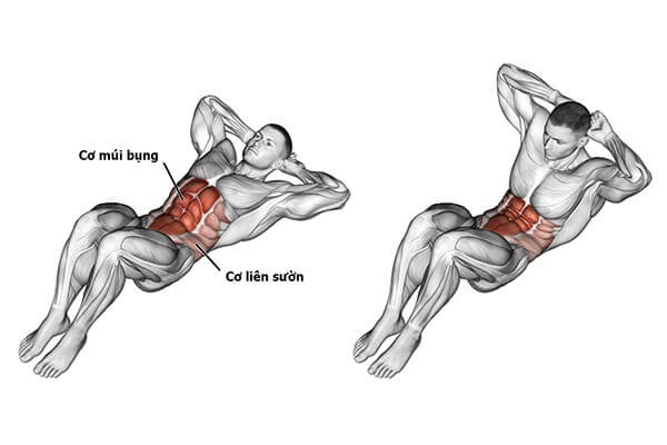 Những bài tập giúp cho bạn có thể giải quyết bụng mỡ