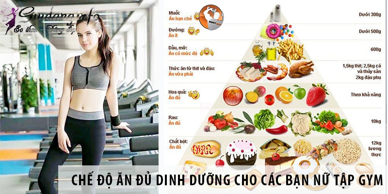 Thể hình là gì ? Kế hoạch tập luyện thể hình cho nữ